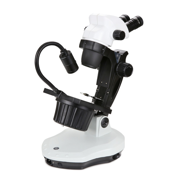 Euromex NZ.1902-GEML, NexiusZoom, 6,7x a 45x, 30W 6V HAL Luz transmitida, 1W LED Luz reflejada