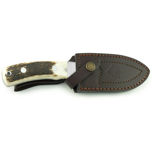 Minox Binoculares BL 8x56 HD Juego para jabalí