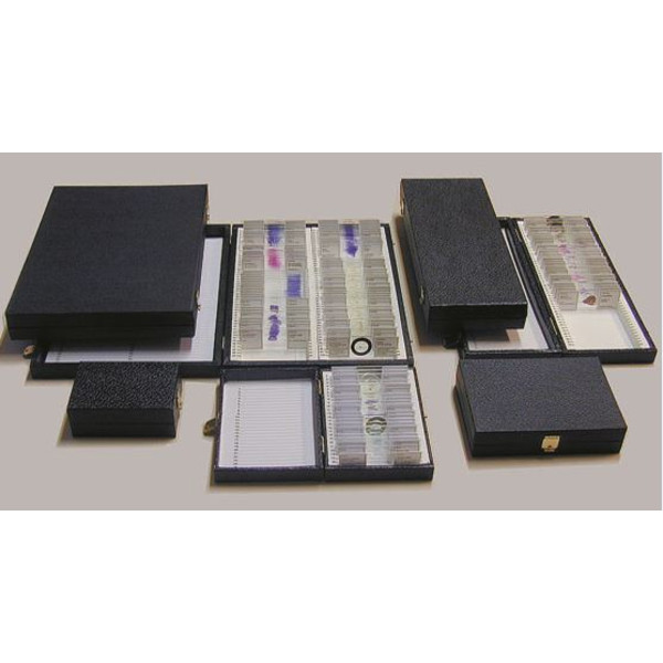 LIEDER K50, recipiente para 50 preparados