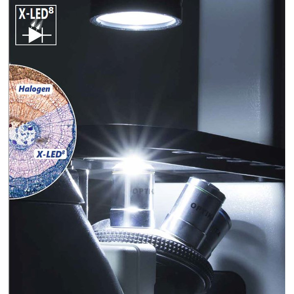 Optika Microscopio IM-3FL4-UK, trino, invertido, FL-HBO, Filtro B&G, IOS LWD U-PLAN F, 100x-400x, Reino Unido