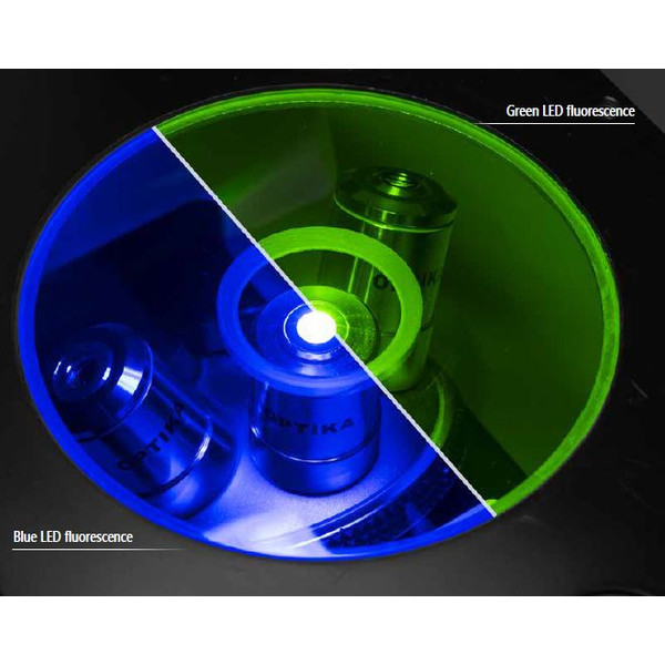 Optika Microscopio IM-3FL4-UK, trino, invertido, FL-HBO, Filtro B&G, IOS LWD U-PLAN F, 100x-400x, Reino Unido