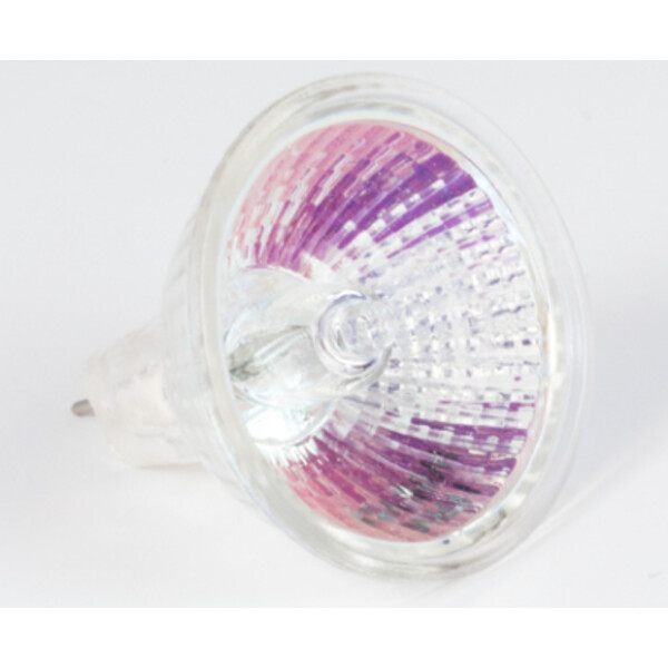 Motic Lámpara halógena de repuesto de 12 V/20 W, luz transmitida (trípode R2GG) (SMZ-161)