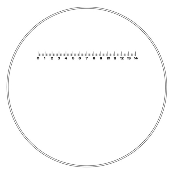 Motic Ocular de medición WF10X/23 mm, escala (14 mm en 70 tramos)