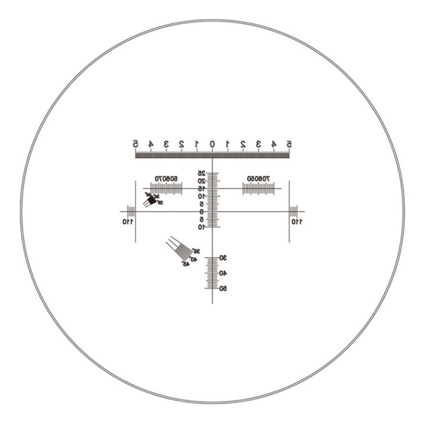 Motic Ocular micrométrico WF10X/23 mm, analizador de proporciones de diamante