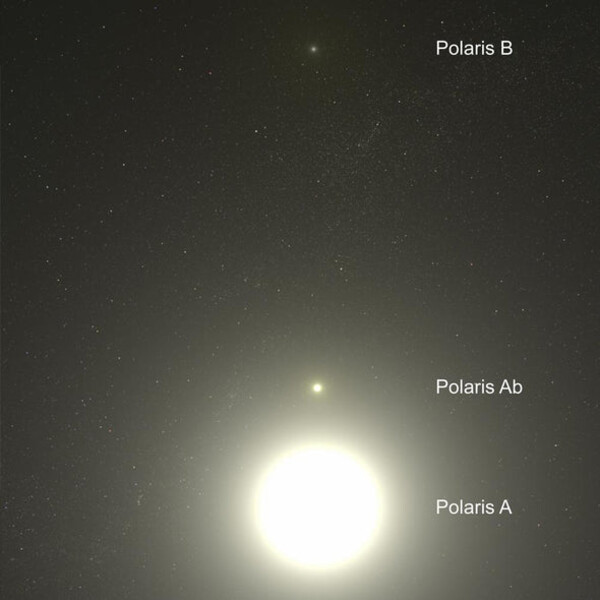 Celestial Buddies Polaris Ab y Polaris B