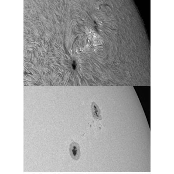 Meade Cámara LPI-G Advanced Mono