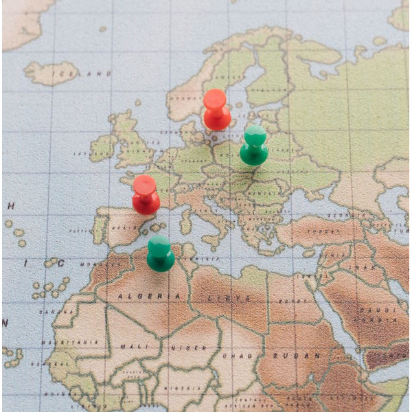 Miss Wood Mapamundi Mapa Woody Acuarela Física L