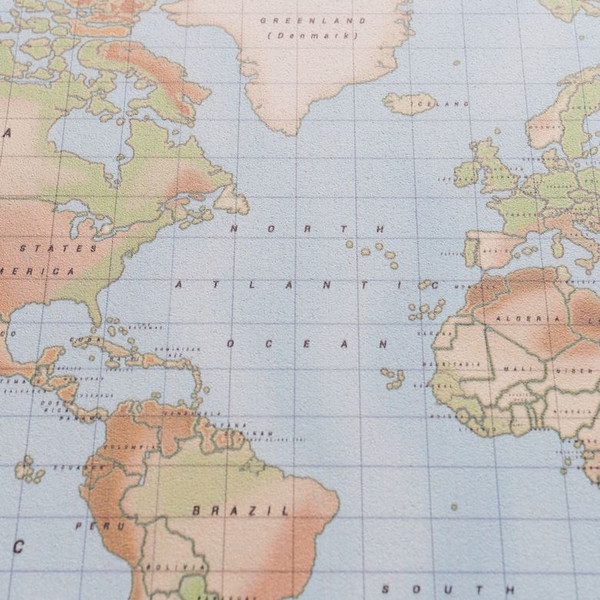 Miss Wood Mapamundi Mapa Woody Acuarela Física L