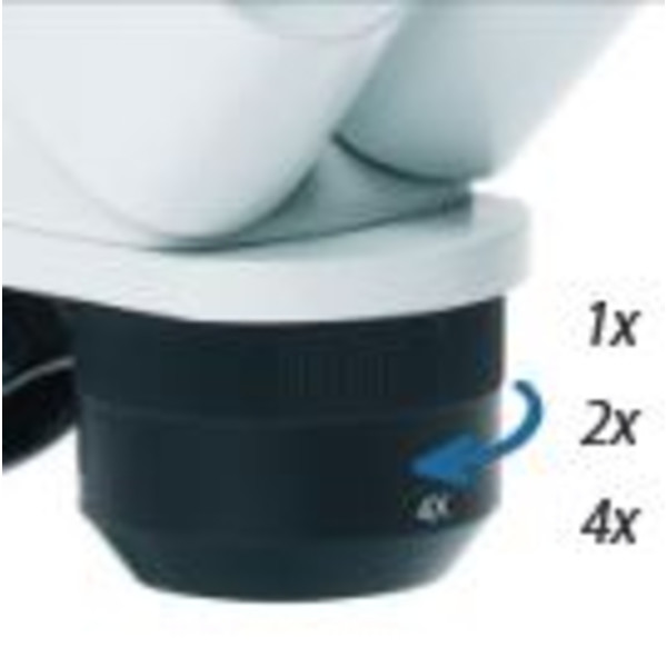 Euromex Microscopio estereo ED.1802-S, EduBlue 1x/2x/4x