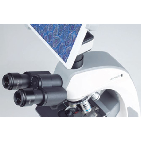 Motic Cámara BTX8, 5,0MP, 8