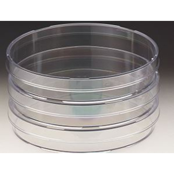 Windaus Placas de Petri 94x16 mm, poliéster 20 unidades