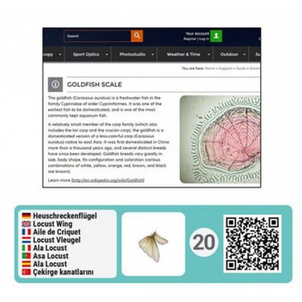 Bresser Junior Set de accesorios para microscopios con códigos QR