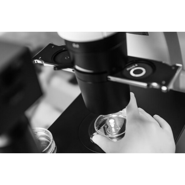 ZEISS Microscopio invertido Primovert bino Ph1, 40x, 100x, Kond 0.3