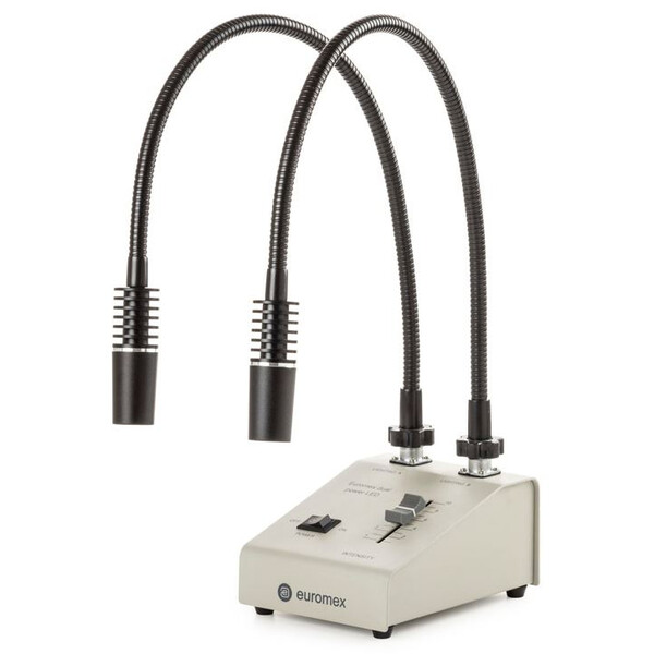 Euromex Fuente de luz LE.5207, con 2 cuellos de cisne Conductores de luz 2x3W, 6500K