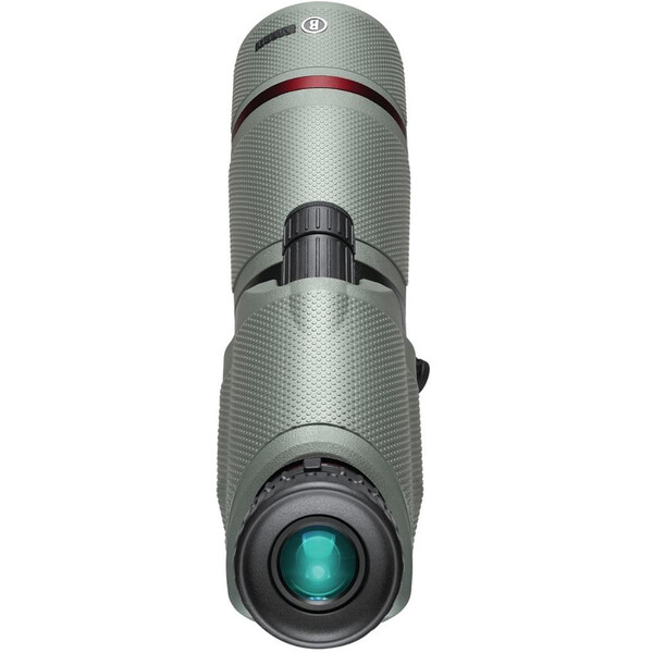 Bushnell Catalejo Nitro 20-60x65