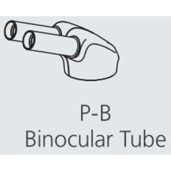Nikon Cabazal estereo microsopio P-B Bino Tube