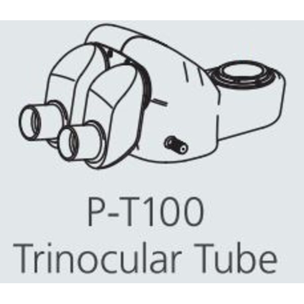 Nikon Cabazal estereo microsopio P-T100 Trino Tube (100/0 : 0/100)