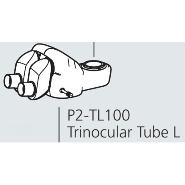 Nikon Cabazal estereo microsopio P2-TL100 Trino Tube 100 (100/0 : 0/100)
