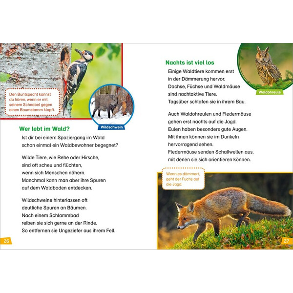 Tessloff-Verlag Primera lectura WAS IST WAS: Descubriendo la naturaleza