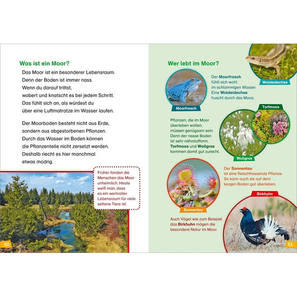 Tessloff-Verlag Primera lectura WAS IST WAS: Descubriendo la naturaleza