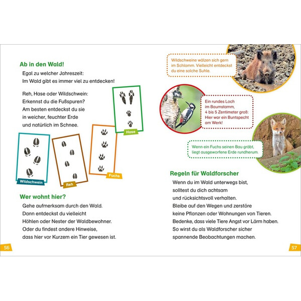 Tessloff-Verlag WAS IST WAS Primera lectura: El bosque