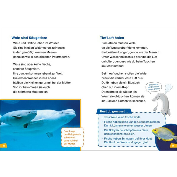 Tessloff-Verlag WAS IST WAS Primera lectura: Ballenas y delfines