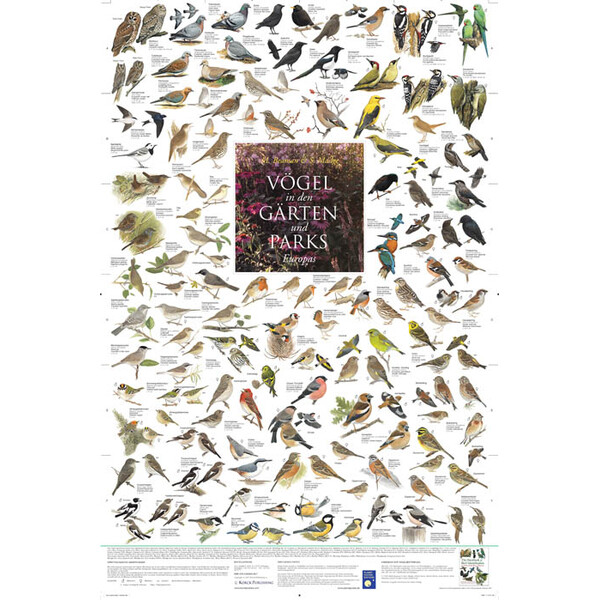 Planet Poster Editions Póster Vögel in den Gärten und Parks Europas