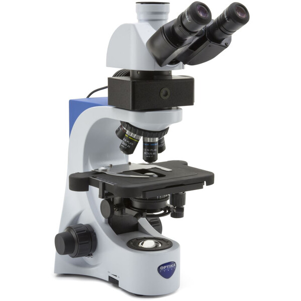 Optika Microscopios B-383LD, trino, FL-LED, filtro azul, N-PLAN, IOS, 40x-1000x