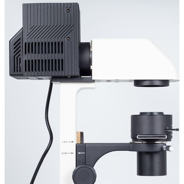 Motic Microscopio invertido AE31E trino, infinity, CCIS Plan 4x LWD, Ph10x/20x40x, 100W Hal