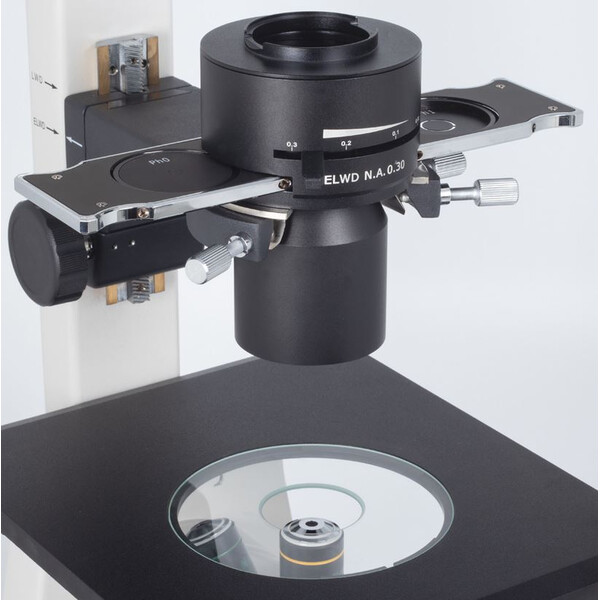 Motic Microscopio invertido AE31E trino, infinity, 40x-400x, phase, Hal, 30W