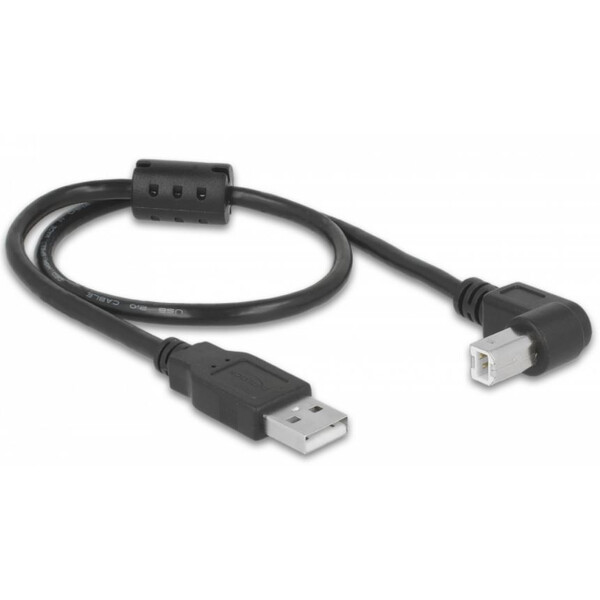 PegasusAstro Juego de cables USB 2x USB2.0 tipo B 50 cm