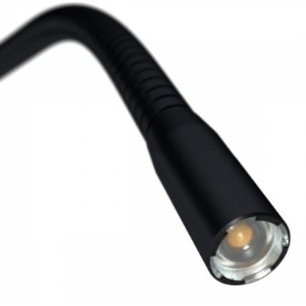 StarLight Opto-Electronics Lámpara de luz diascópica LED IL11, Cuello de cisne, 450 mm