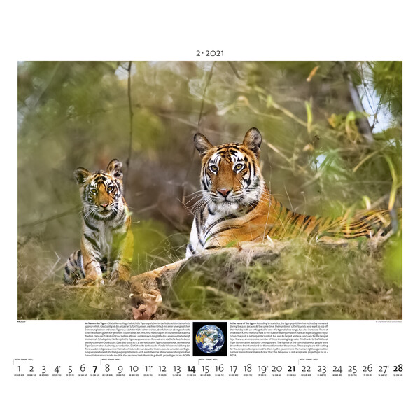 Palazzi Verlag Calendarios Planet Earth 2021