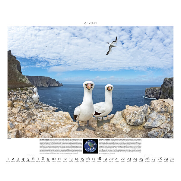 Palazzi Verlag Calendarios Planet Earth 2021