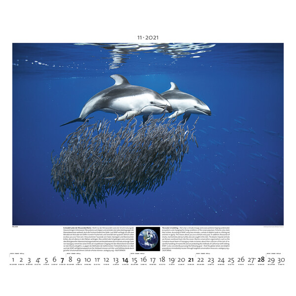 Palazzi Verlag Calendarios Planet Earth 2021