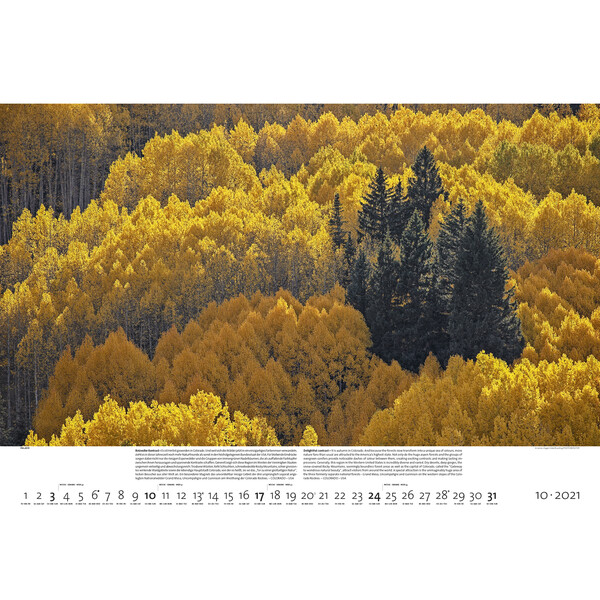Palazzi Verlag Calendarios Bosques de la tierra 2021