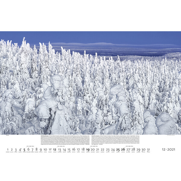 Palazzi Verlag Calendarios Bosques de la tierra 2021