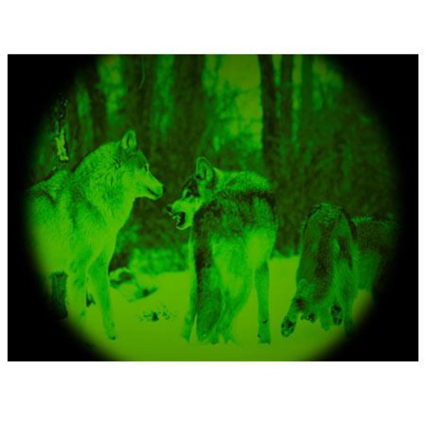 ATN Dispositivo de visión nocturna Night Storm-2l 3,5x50, negro