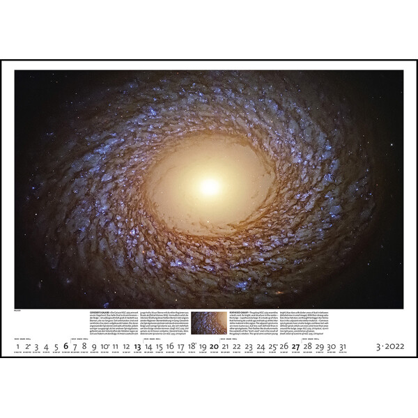 Palazzi Verlag Calendarios Sternzeit 2022