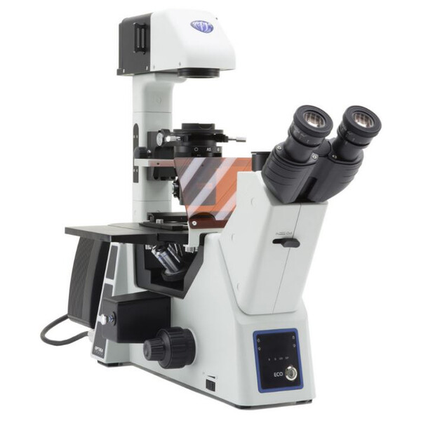 Optika Microscopio invertido IM-5FLD, FL, trino, inverso, 10x24 mm, AL/DL, LED 5 W, 8 W w.o. objetivos