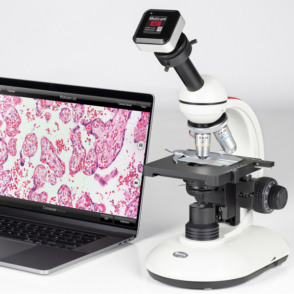 Motic Cámara A2, color, sCMOS, 1/3.1, 2,7 µm, 30 fps, 2 MP, USB 2.0