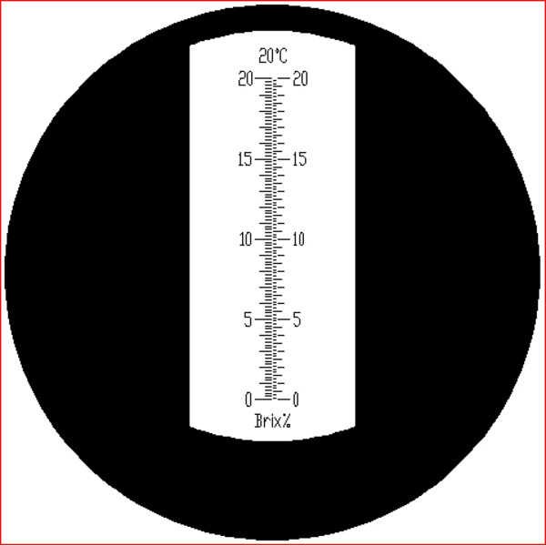 Euromex Refractómetros RF.6520