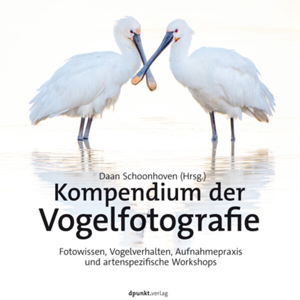 dpunkt Compendio de fotografía de aves