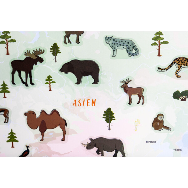 GeoMetro Mapas infantiles El mundo de los animales (84 x 60 cm)