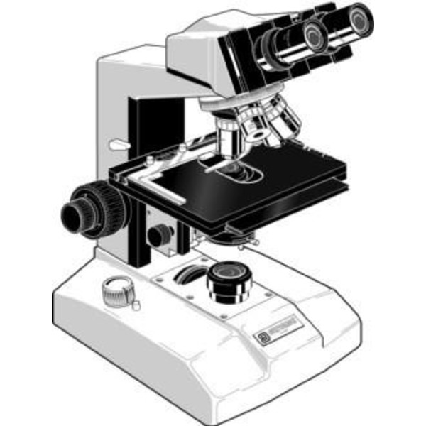 Euromex Microscopio FE.2020