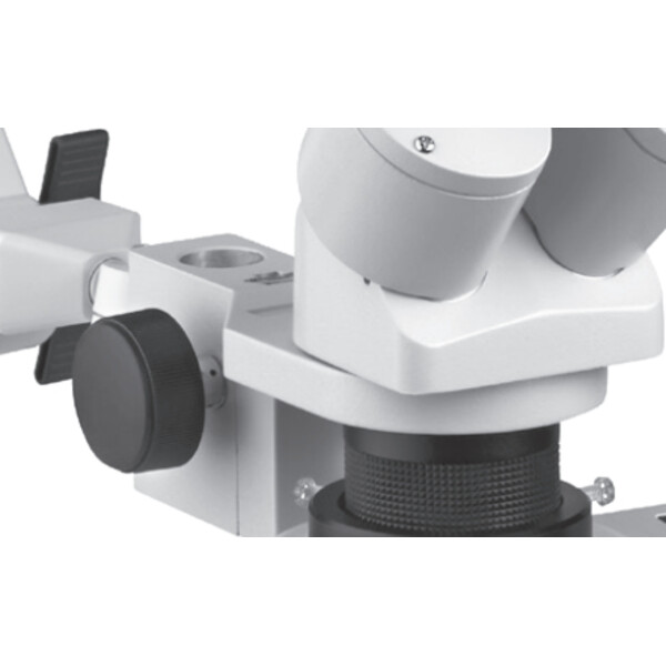 Eschenbach Soporte cabezal para Base industriel (332631)