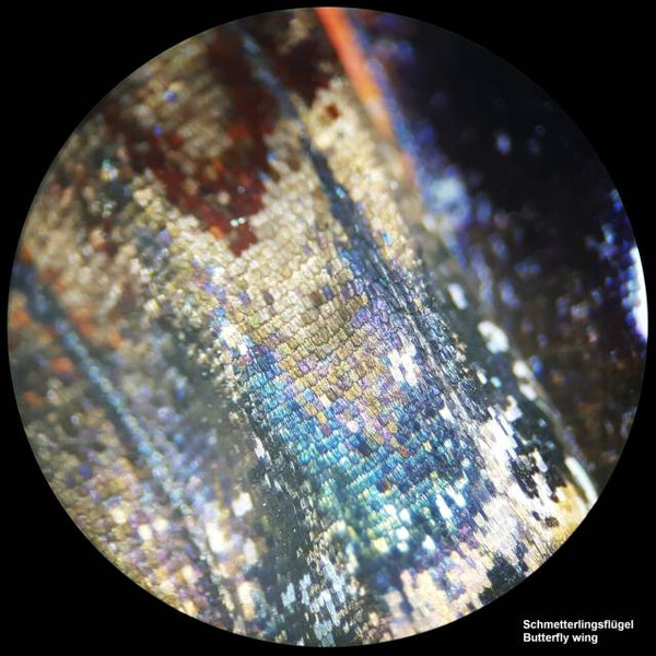 Bresser Microscopio estereo Analyth STR 10x-40x bino; Greenough; 50mm; 10x/20; 10-40x; LED, camera, 2MP