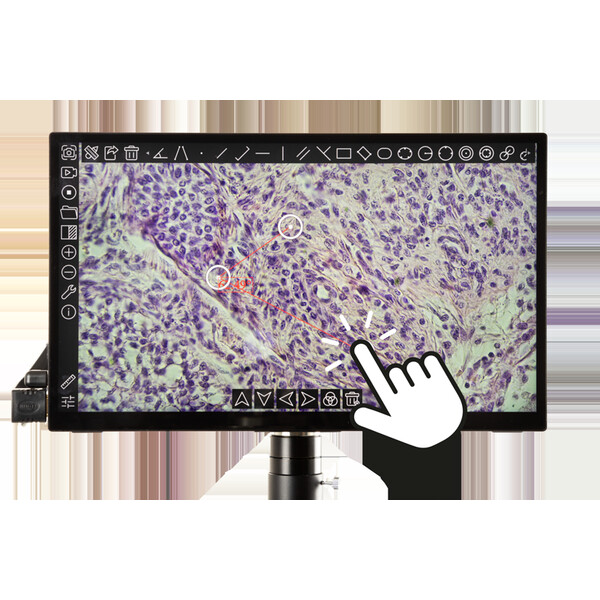 Euromex Cámara VC.3043 HDS, UHD, 8,3 MP, 1/1,8 pulgadas, sensor de color 4K, pantalla táctil de 13 pulgadas, 30 fps HDMI, 20 fps USB