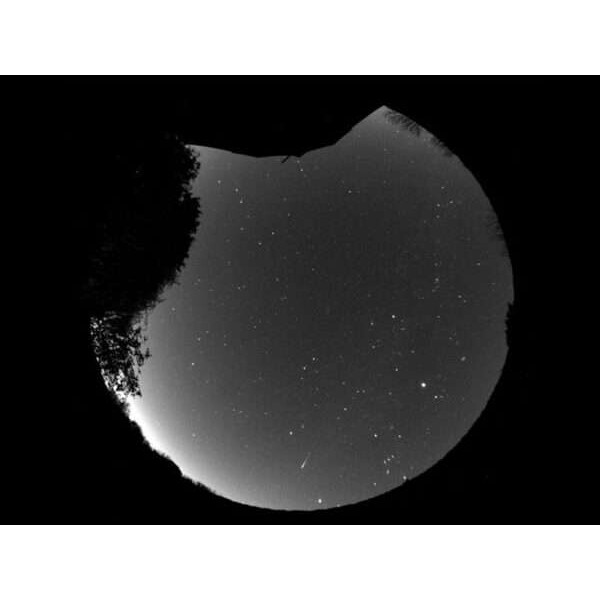 Starlight Xpress Cámara Oculus PRO All Sky 180° Mono