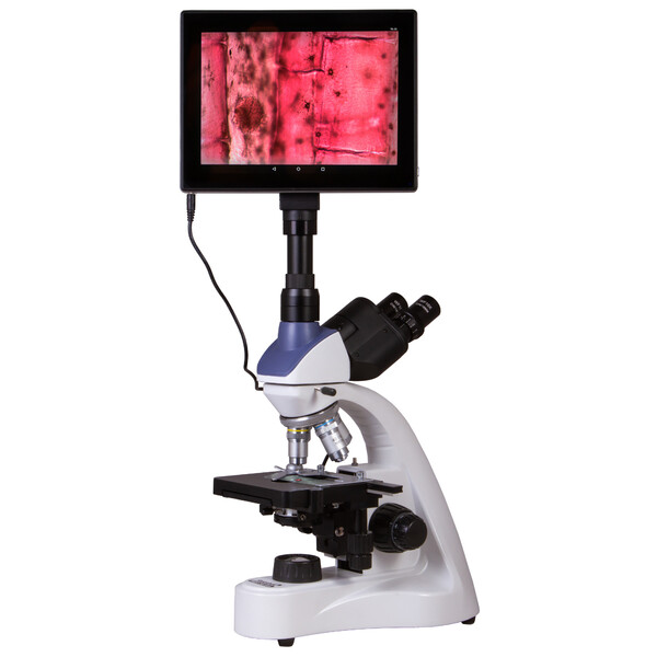 Levenhuk Microscopio MED D10T 40x-1000x 5MP LCD Digital Trino